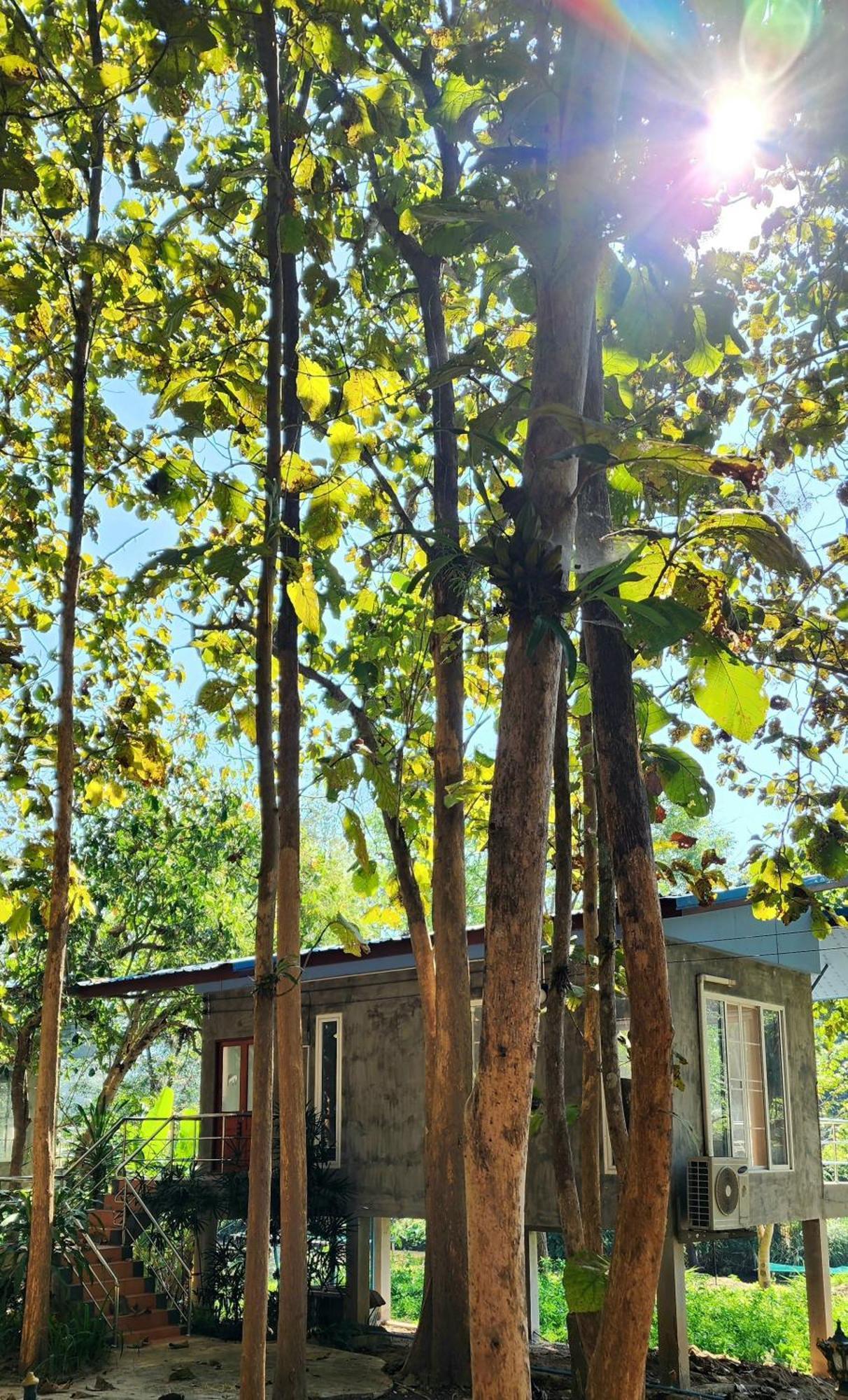 Rimtharnn Homestay Maewin Mae Wang Exterior foto