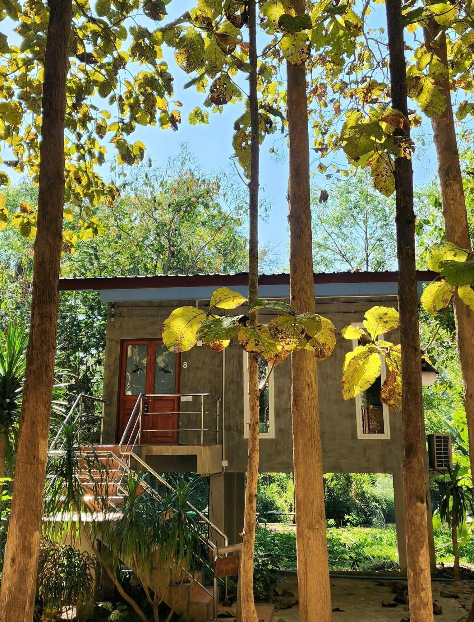 Rimtharnn Homestay Maewin Mae Wang Exterior foto